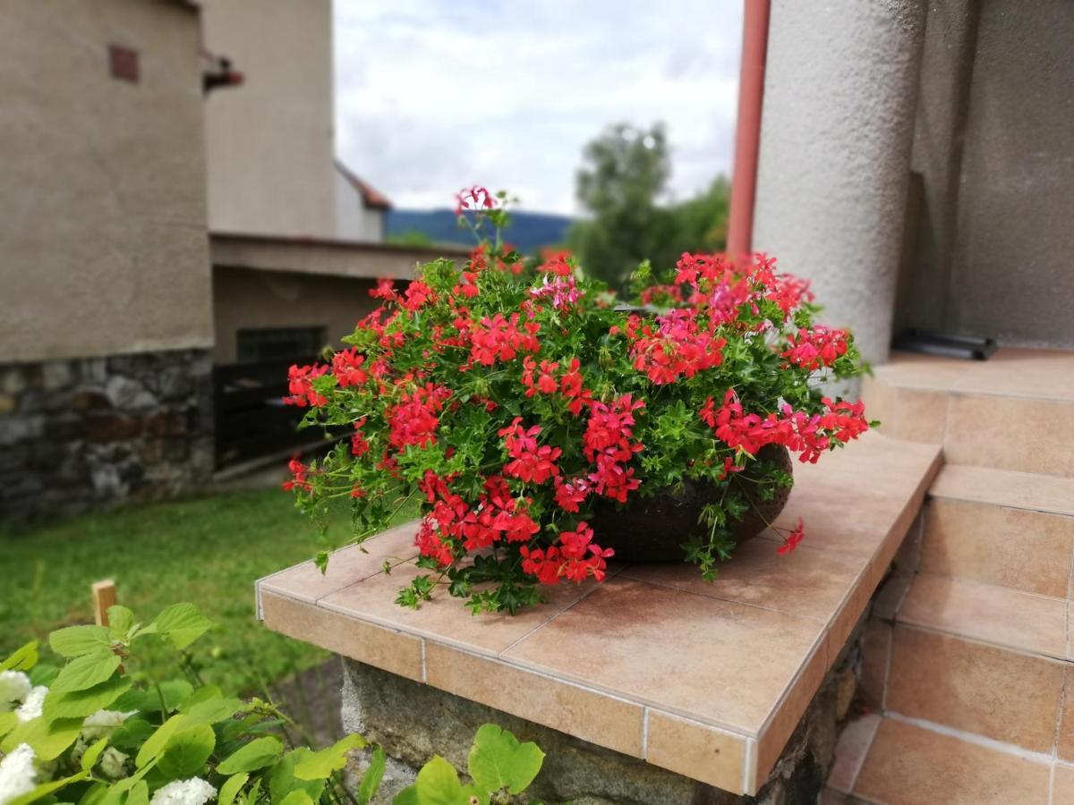 Villa Oliva Český Krumlov Esterno foto