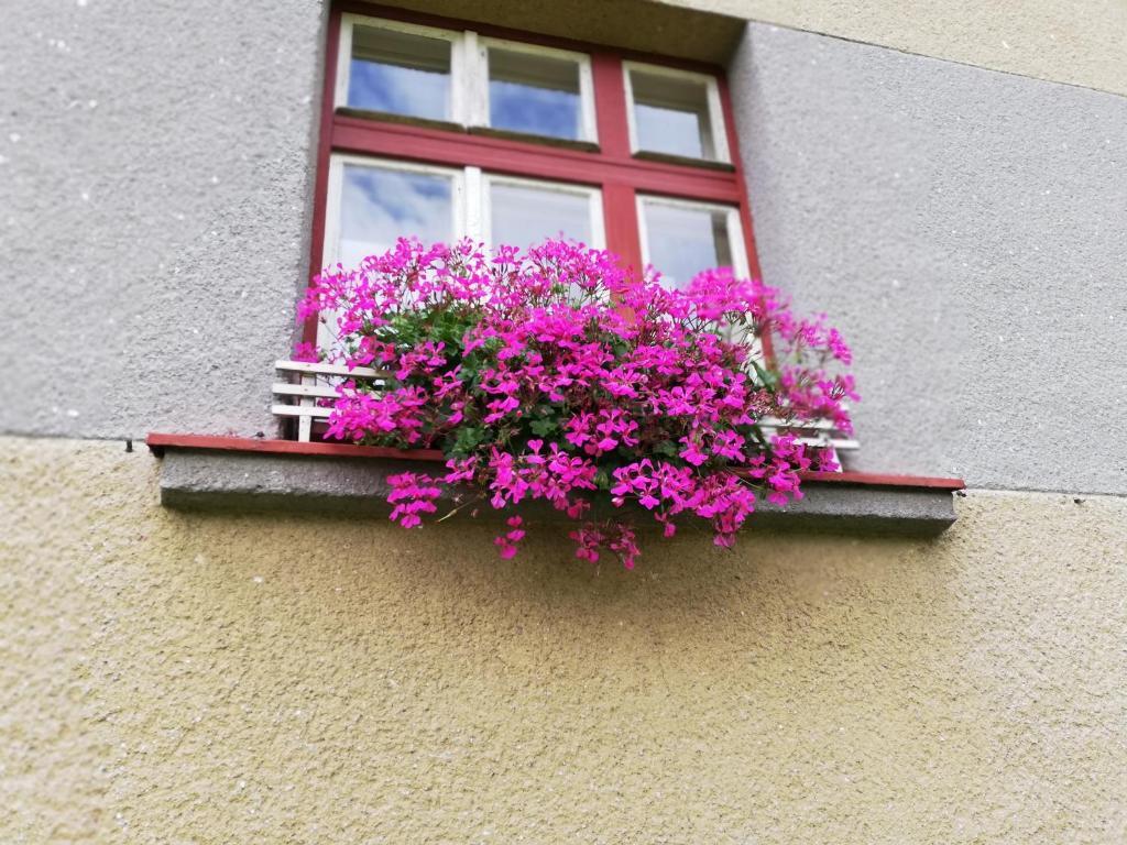 Villa Oliva Český Krumlov Esterno foto