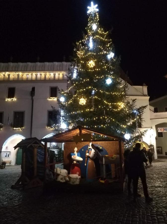 Villa Oliva Český Krumlov Esterno foto